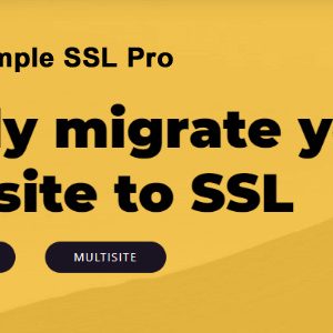 Really Simple SSL Pro 9.0.2